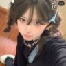 木槿花枝z
