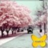 Are_you_ok007