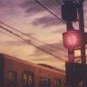 蔡智荣