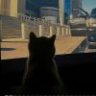 雾眠wm
