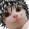 allmy