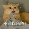 二季度东西