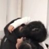 米杰宝
