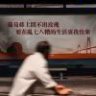 玫瑰也会过
