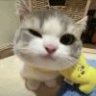 L觉觉