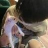 北风发