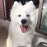yi点点