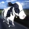 壹刻钟
