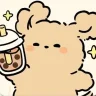 橙歌y