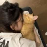 大蒜猪