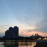 悉尼灵活的芥兰