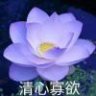 半枝莲