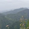 东冲恋