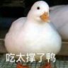 m767950749