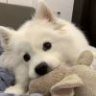 AD钙不缺钙