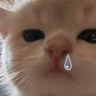 ppp711