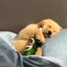 电子海洋