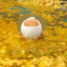 遇见与