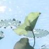 介是嘛呀
