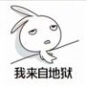 应冬雪
