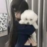 不要杀死我的爱