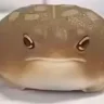 几个hgk