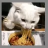 上趟厕所的