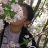 蓷叶兮