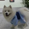 我不想上班