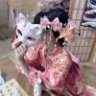 烦郁痛