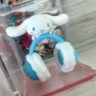 玉桂卷訕
