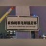 格兰芬多的学生