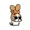 Popty