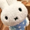 漾青禾