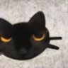 嬌hz