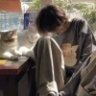 挖番薯的