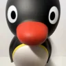 皮皮爱喂鸡