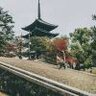 生死看淡一切