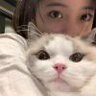 肖邦琴键上的猫