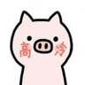 高冷的猪猪