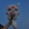 台风天