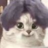 OK呀