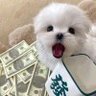 飞吻全场