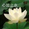 爱睡觉的无言