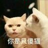 二神花露水