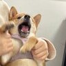 你身上有光