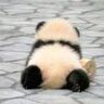 连接中
