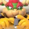 Bowser114514