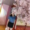 HNPC小金刚