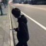 风停呦